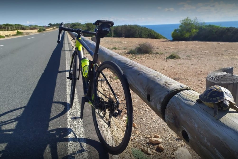 BikeIsland2.jpg