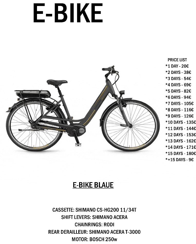 E-BIKE-BLAUE.gif