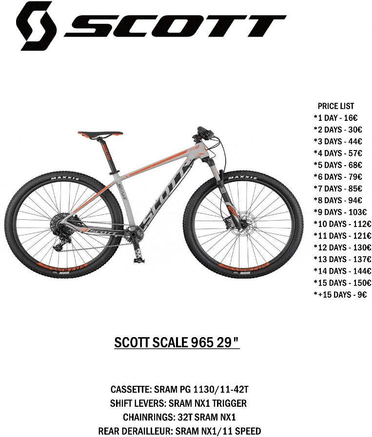 MTB29SCOTT.gif